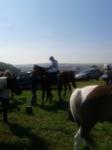 Rajd Minoga 2015